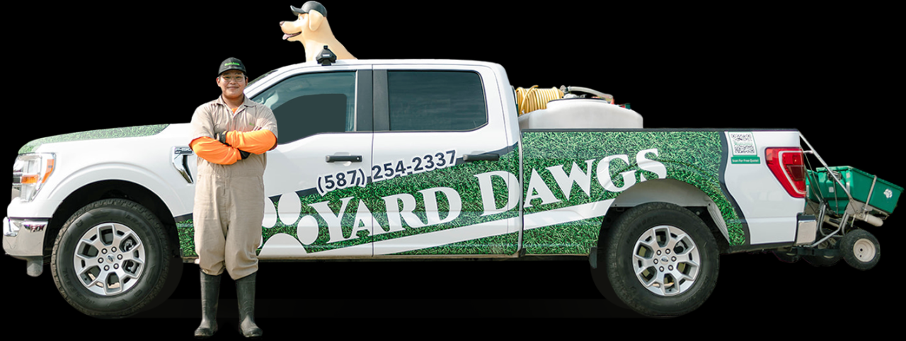 What Is Bentgrass and Should You Remove It From Your Lawn?